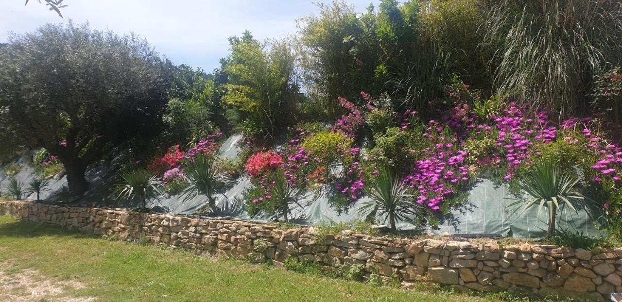 Location Villa Avec Piscine Chauffee Le Castellet  Eksteriør billede