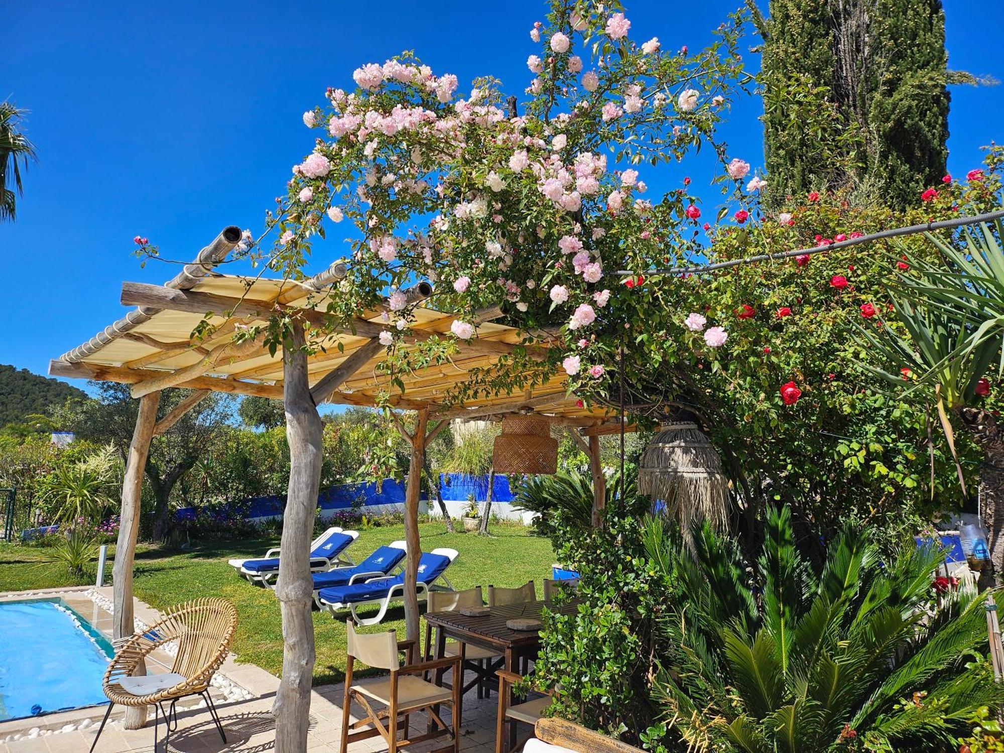 Location Villa Avec Piscine Chauffee Le Castellet  Eksteriør billede